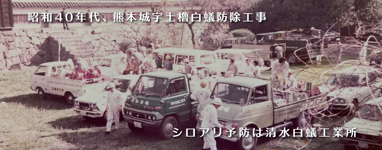 昭和40年代、熊本城宇土櫓白蟻防除工事